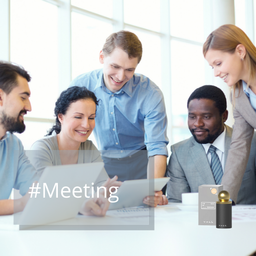 VALL Sphere Meeting 01