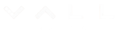 VALL FRESH HOLIC 02